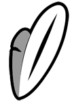 Jeronimo