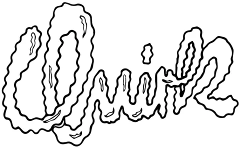 Quirk
