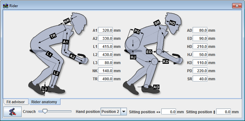 Rider anatomy