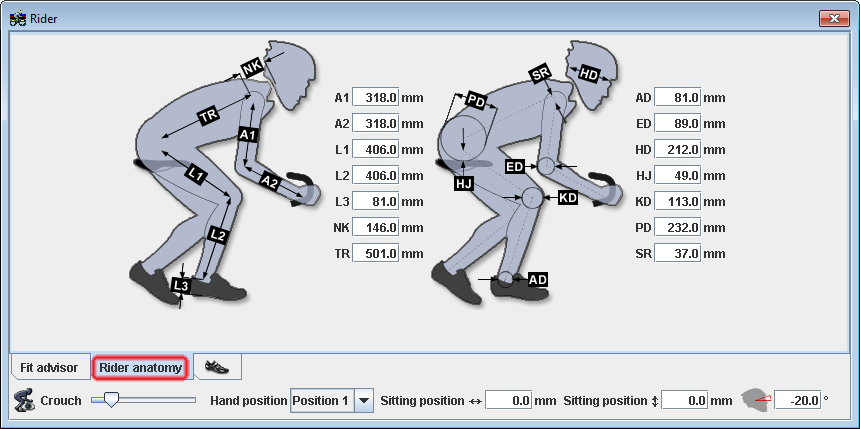 Rider anatomy