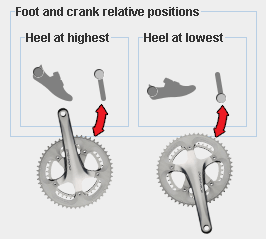 Shoe and crank relative angles