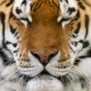 Profile picture for user Pete G