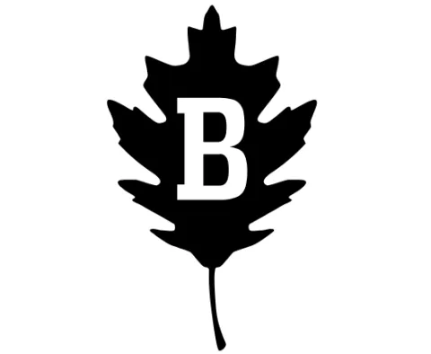 Brother logo