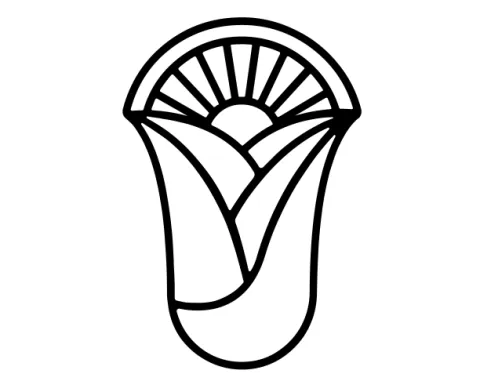 Maiorosse Cycles