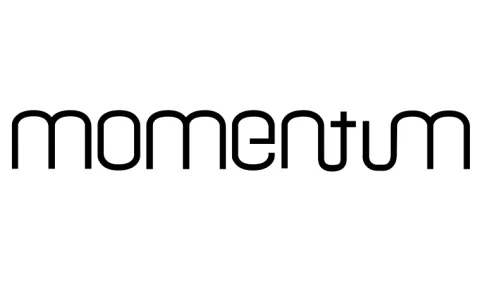 Momentum