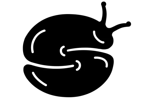 Slug