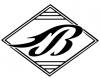 Blaze logo dingbat