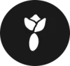 Profile picture for user cycles.tulipp